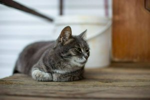 IMG_2945.jpg