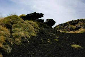 IMG_9340.jpg