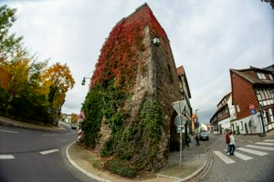 IMG_9975.jpg