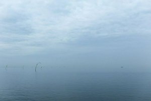 IMG_8186.jpg