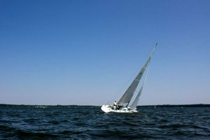 IMG_9650.jpg