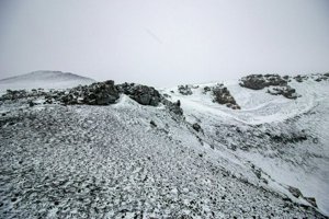 IMG_0132.jpg