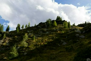 IMG_0866.jpg