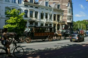 IMG_2212.jpg