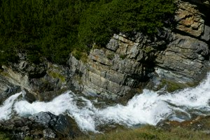 IMG_1530.jpg