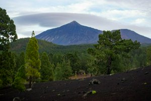 IMG_6474.jpg