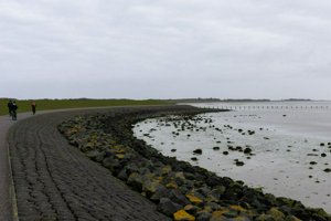 IMG_5806.jpg