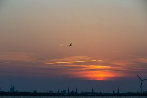 IMG_8721.jpg