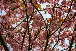 IMG_5768_1.jpg