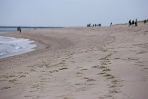 IMG_9934.jpg