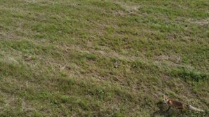 DJI_0409.MP4_snapshot_01.21.550.jpg