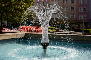 IMG_0996.jpg