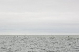 IMG_1981.jpg