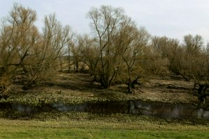 IMG_8853.jpg