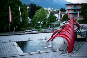 IMG_5215.jpg