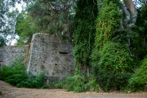 IMG_3222.jpg