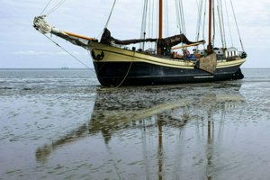 IMG_7733.jpg