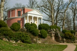 IMG_7212.jpg