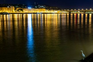 IMG_3140.jpg