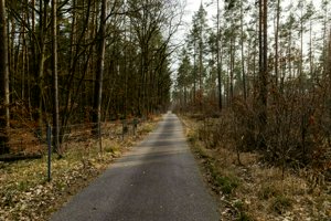 IMG_9073.jpg