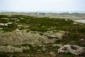 IMG_9844.jpg