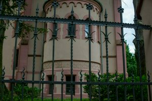 IMG_6137.jpg