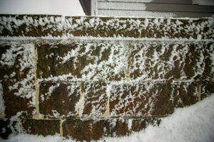 IMG_1364.jpg