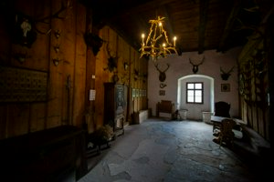 IMG_5842.jpg