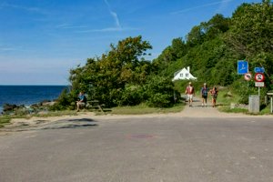 IMG_3534.jpg