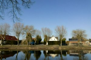IMG_8527.jpg
