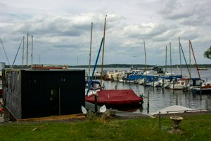 IMG_6184.jpg