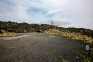 IMG_9298.jpg
