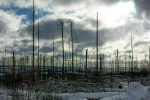 IMG_2541.jpg