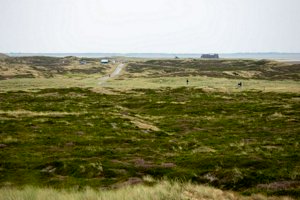 IMG_9913.jpg