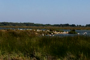 IMG_6142.jpg
