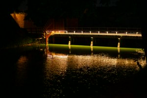 IMG_7776-Улучшено-NR.jpg