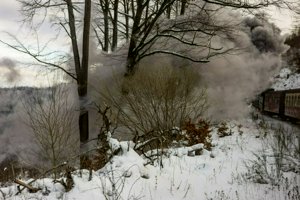 IMG_2417.jpg