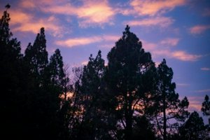 IMG_6499.jpg