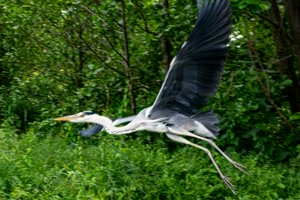 IMG_7672.jpg