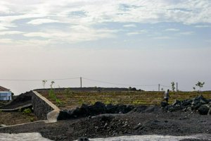 IMG_3503.jpg
