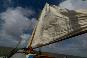 IMG_4752.jpg