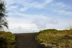 IMG_9324.jpg