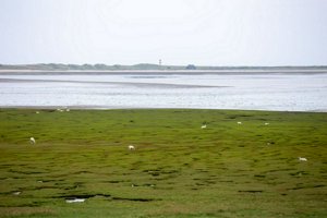 IMG_9857.jpg