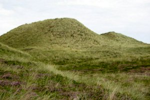 IMG_9871.jpg