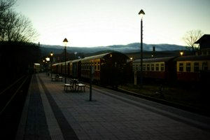 IMG_1575.jpg