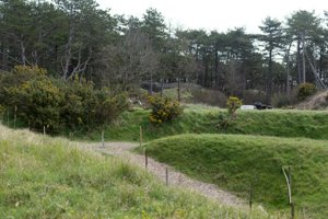 IMG_5642.jpg