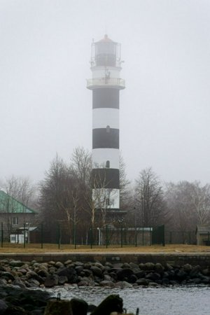 IMG_2221.jpg