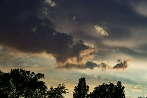 IMG_1664-NR.jpg