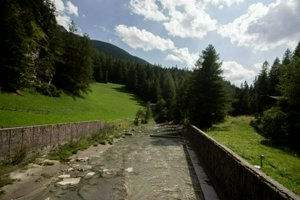 IMG_5960.jpg