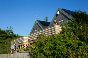 IMG_7386.jpg